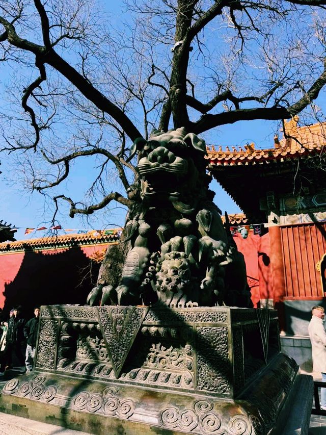 中國北京著名景點：雍和宮，適合打卡拍照📸