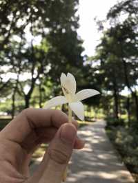 Travel with me in Kuala Lumpur