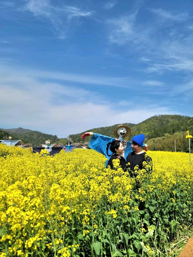 낭만가득 노랑 유채꽃축제가 열리는 진도💛