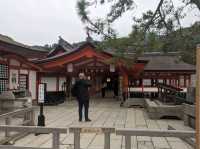 【広島】嚴島神社で海に浮かぶ鳥居を見る！