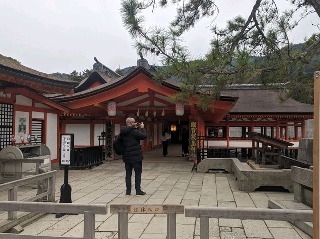 【広島】嚴島神社で海に浮かぶ鳥居を見る！