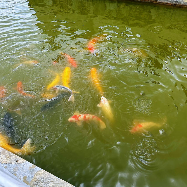原來沒有被毀的圓明園是那些的美