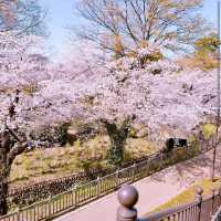 Maebashi Park, Gunma
