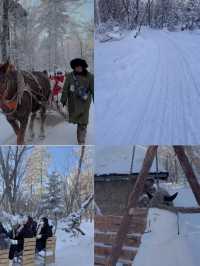 รีวิวฮาร์บิน  Changbai Mountain หรือ snow valley