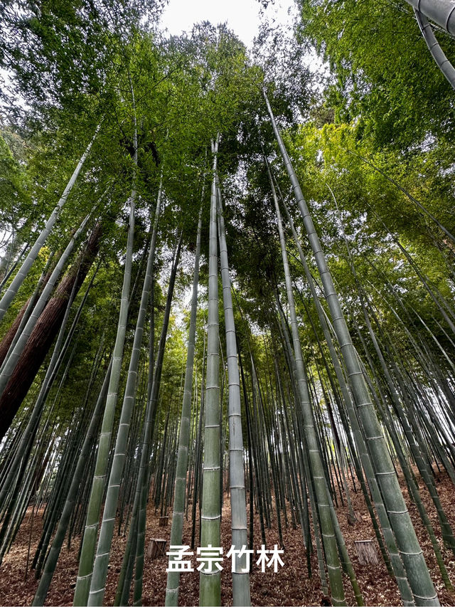 日本三名園　偕楽園