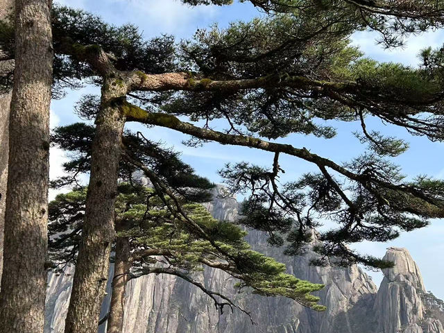 黃山之旅