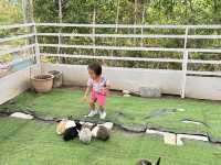 Playfarm ที่เด็กๆต้องชอบ