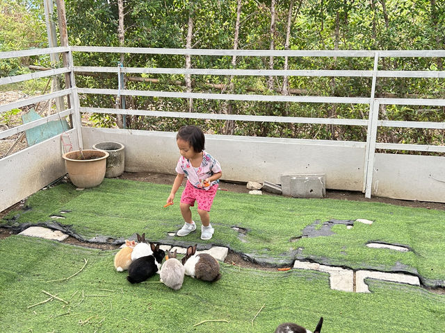 Playfarm ที่เด็กๆต้องชอบ