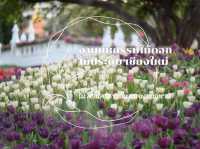 งานมหกรรมไม้ดอก-ไม้ประดับ ที่หนองบวกหาด เชียงใหม่