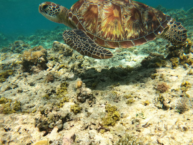 インドネシアの3つの楽園🏝️