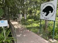 Bornean Sun Bear Conservation Centre (BSBCC) – Sepilok’s Hidden Gem** 🐻🌿  