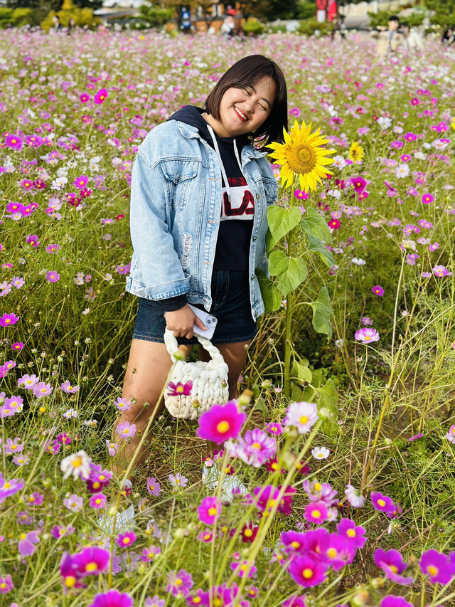 Picturesque Agricultural Theme Park