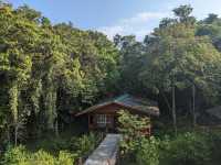 Wild & Wondrous: My Jungle Adventure on Kinabatangan River! 🌿🐘