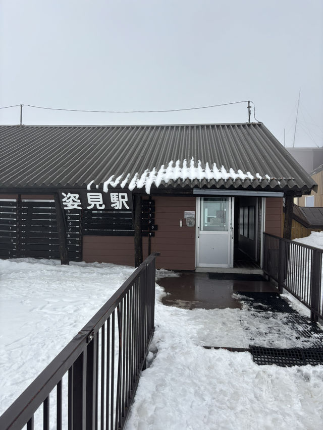【北海道・旭川】旭岳ロープウェイで大雪山の大自然を体感しよう
