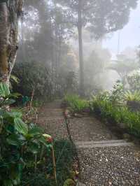 Lost in the Misty Beauty of a Japanese Village in Genting