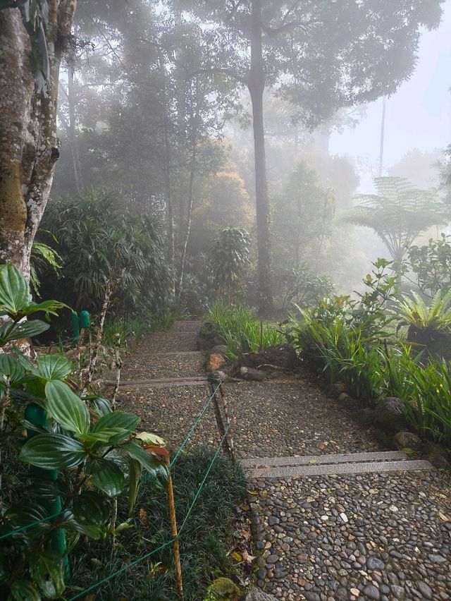 Lost in the Misty Beauty of a Japanese Village in Genting