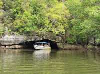 🌿🚤 Kilim River Cruise Review: A Mangrove Adventure in Langkawi!