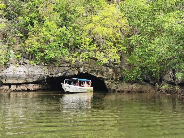 🌿🚤 Kilim River Cruise Review: A Mangrove Adventure in Langkawi!