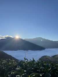 南投｜武界部落｜雲海的故鄉，深山裡的純粹時光