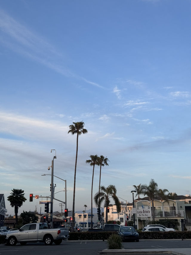 🌊 Newport Beach, 캘리포니아의 럭셔리 해변! 
