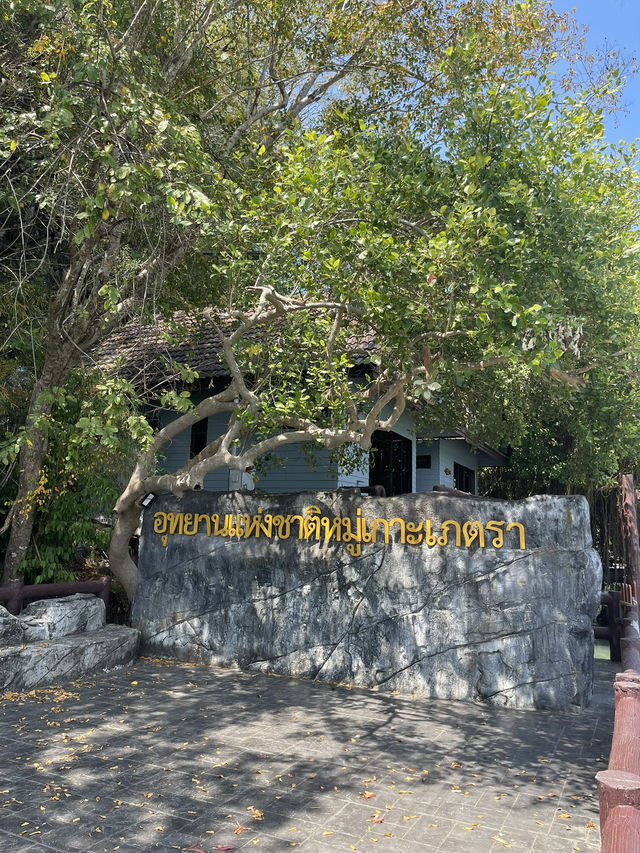 สะพานข้ามกาลเวลา✨