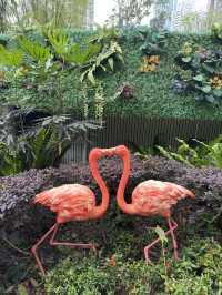 香港｜香港動植物公園