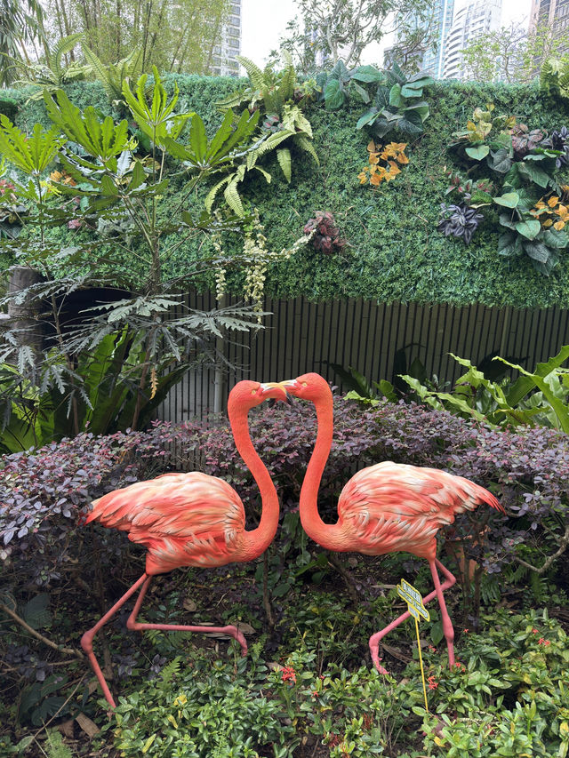 香港｜香港動植物公園