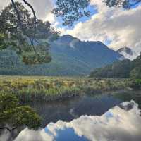 Springtime Wonders in New Zealand