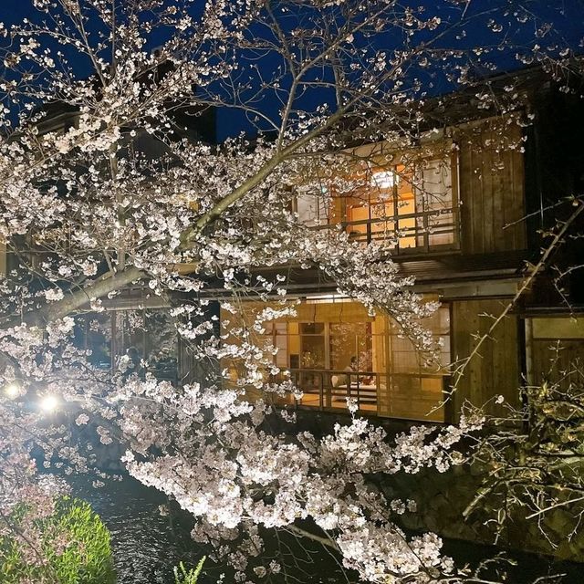 Quiet Vibes and Sakura Stealing the Spotlight