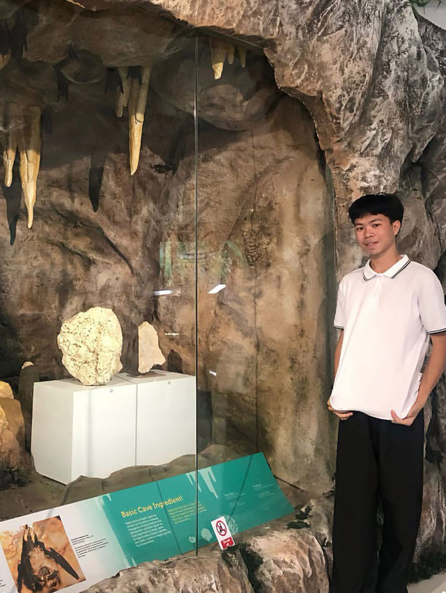 Museum 