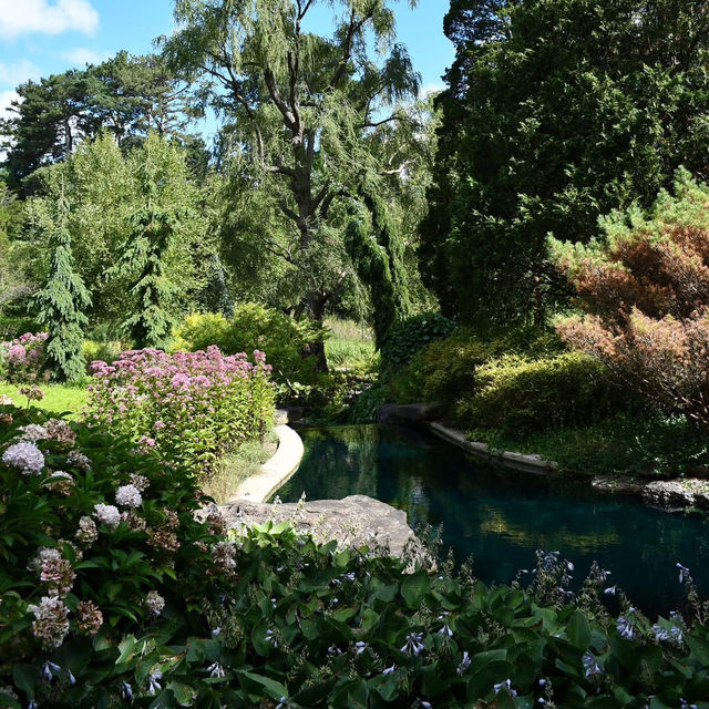 Peaceful Retreat – Royal Botanical Gardens in Late Summer 