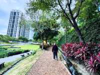Chill Spot Right in the City