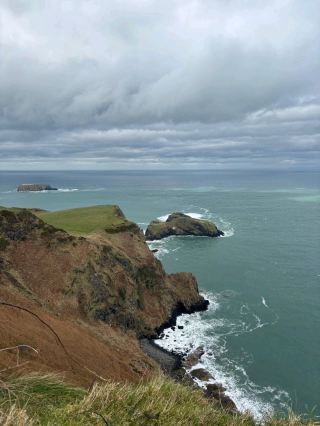 Spring in Giant’s Causeway