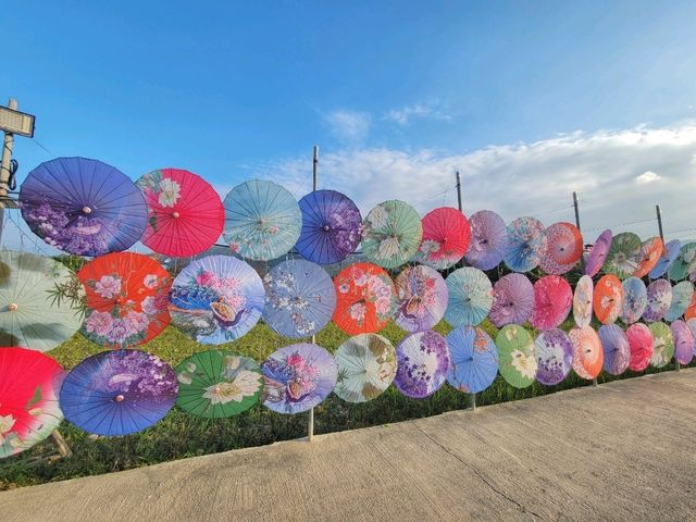 🌸✨ 元朗信芯園——香港隱藏版夢幻花海！ 🌿🌼 