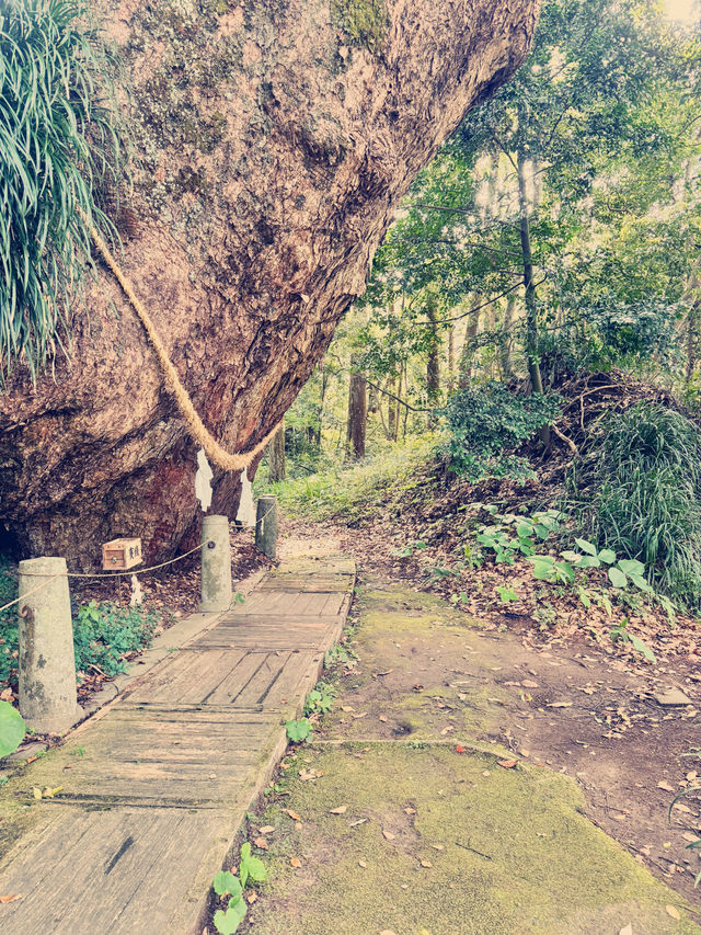 飫肥八幡神社