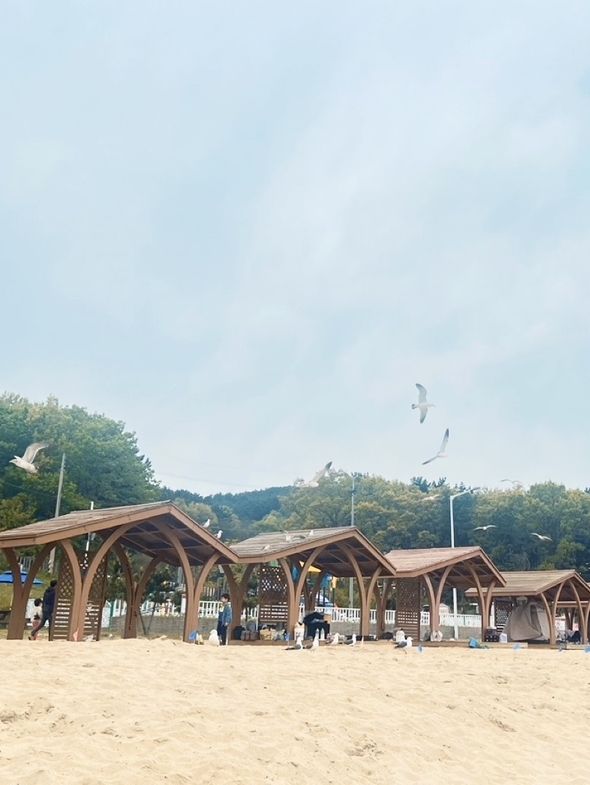 인천의 숨겨진 섬여행 신시모도