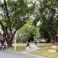 Shenzhen’s Hidden Gem: 人民公园 (People’s Park)