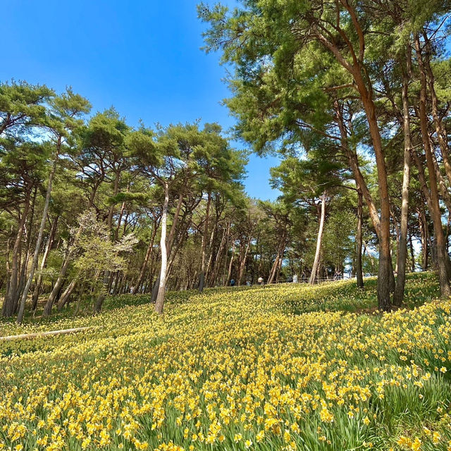충남 당진·서산 1박 2일 여행코스 추천 드릴게요!⛅️