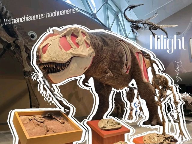 Shanghai Natural History Museum