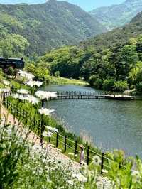 Discovering Daegu: A Perfect Blend of Tradition and Modernity