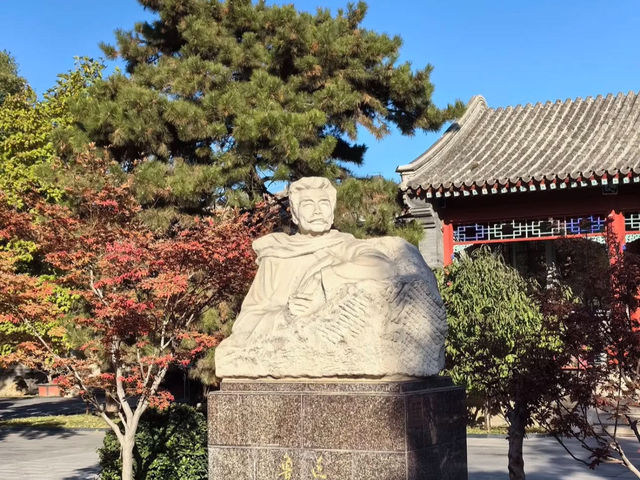 CHERRY BLOSSOM IN BEIJING LU XUN MUSEUM