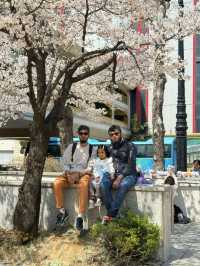 Seongnam: A Harmonious Blend of Tradition and Modernity