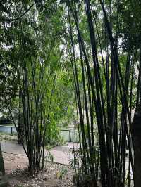 Huanhua Stream Park
