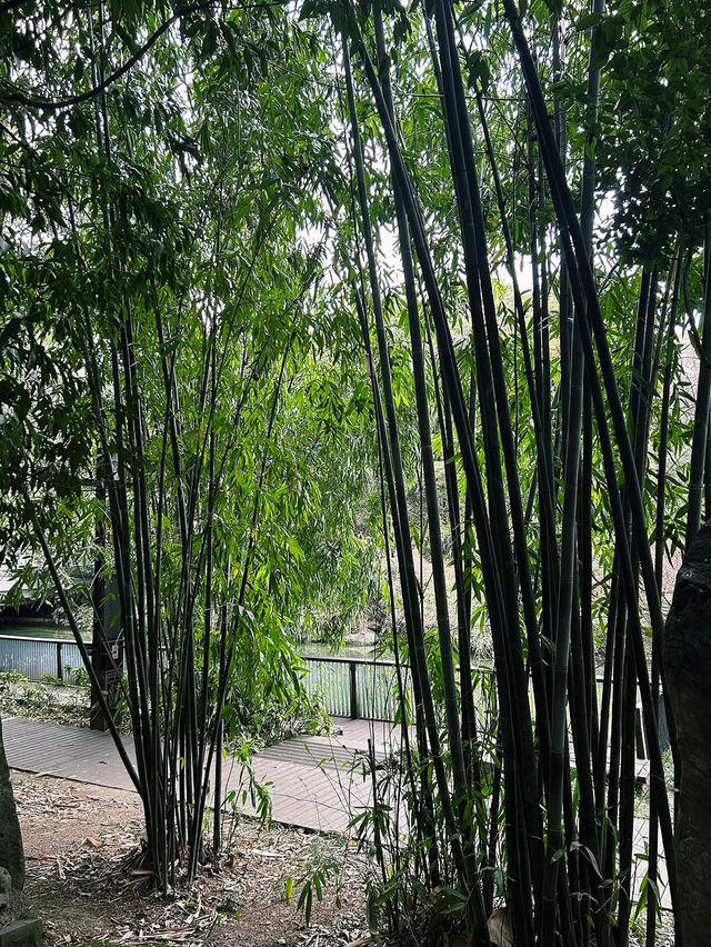 Huanhua Stream Park