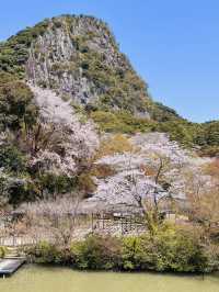 Dreaming in Pink: A Spring Spell at Mifuneyama Rakuen