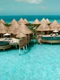 🌴 Cocoon Maldives: Where Italian Elegance Meets Island Bliss 🌊
