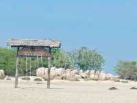 Bintan Spa Villa Beach Resort: A Hidden Gem of Tranquility
