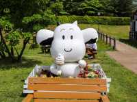 【鳥取県】 名峰「大山」の麓に広がる大自然豊かな牧場『大山まきばみるくの里』🐄