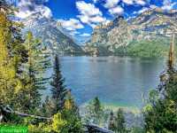 Majestic Views on the Jenny Lake Loop Trail