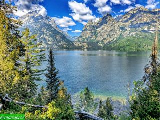 Majestic Views on the Jenny Lake Loop Trail
